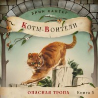 . Опасная тропа