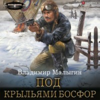 . Под крыльями Босфор