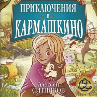 . Приключения в Кармашкино