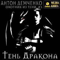 . Тень Дракона