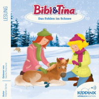 Stephan G?rtler. Das Fohlen im Schnee - Bibi & Tina - H?rbuch, Folge 9 (Ungek?rzt)