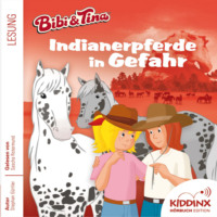Stephan G?rtler. Indianerpferde in Gefahr - Bibi & Tina - H?rbuch, Folge 6 (Ungek?rzt)