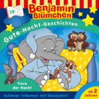 . Benjamin Bl?mchen, Gute-Nacht-Geschichten, Folge 19: Tiere der Nacht