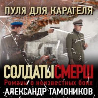 . Пуля для карателя