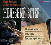 . Железный ветер. Путь войны. Там, где горит земля (сборник)