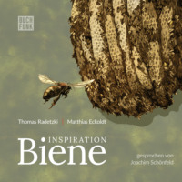 Matthias Eckoldt. Inspiration Biene