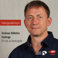 . ?n ?s a bes?g?k (reg?nyr?szlet)