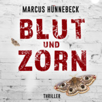 Marcus H?nnebeck. Blut und Zorn - Drosten und Sommer, Band 3 (ungek?rzt)