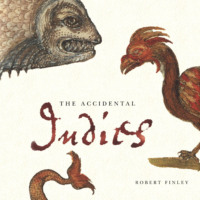 . The Accidental Indies (Unabridged)