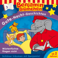 . Benjamin Bl?mchen, Gute-Nacht-Geschichten, Folge 3: W?stenf?chse fliegen nicht (Ungek?rzt)