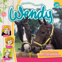 Dirk Petrick. Wendy, Folge 70: Fotoshooting mit Hindernissen