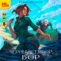 . Черный сектор. Вор