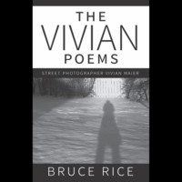Bruce Rice. The Vivian Poems (Unabridged)