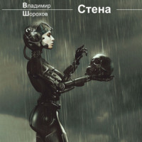 Владимир Леонидович Шорохов. Стена
