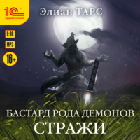 . Бастард рода демонов. Стражи