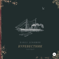 Павел Николаевич Девяшин. Буревестник
