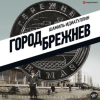 . Город Брежнев