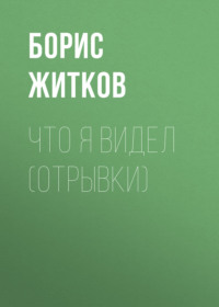 . Что я видел (отрывки)
