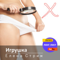 Елена Стриж. Игрушка
