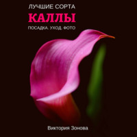 . Каллы. Лучшие сорта