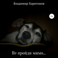 Владимир Юрьевич Харитонов. Не пройди мимо…