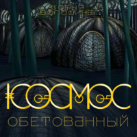 . Космос обетованный