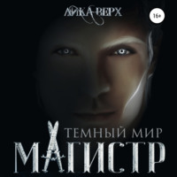 . Темный мир. Магистр