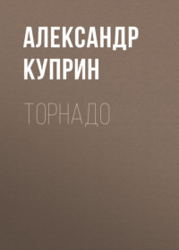 . Торнадо