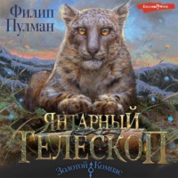 . Янтарный телескоп