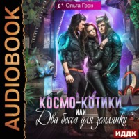 . Космо-котики, или Два босса для землянки