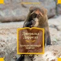 . Перегруженный ковчег