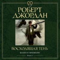 . Колесо Времени. Книга 4. Восходящая Тень