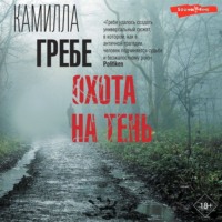 . Охота на тень