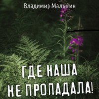 Владимир Владиславович Малыгин. Где наша не пропадала