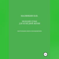 . Молодой семье для безбедной жизни. Настольная книга молодоженов