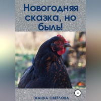 . Новогодняя сказка, но быль!