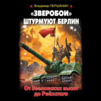 . «Зверобои» штурмуют Берлин. От Зееловских высот до Рейхстага