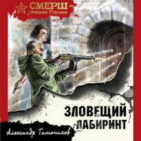 . Зловещий лабиринт