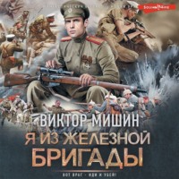 . Я из Железной бригады