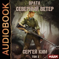 . Врата. Книга 3. Северный ветер. Том 2