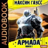 . Армада. Книга 1. Инцидент