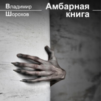 Владимир Леонидович Шорохов. Амбарная книга