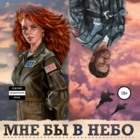 . Мне бы в небо