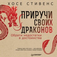 . Приручи своих драконов. Обрати недостатки в достоинства