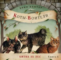 . Битва за лес