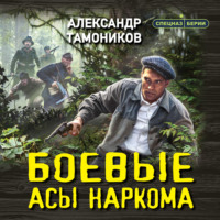 . Боевые асы наркома