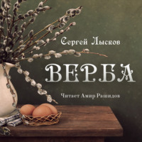 . Верба
