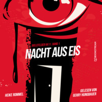 Heike Rommel. Nacht aus Eis - Bielefelder KK11, Band 1 (Ungek?rzt)