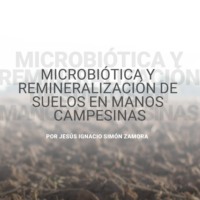 Jes?s Ignacio Sim?n Zamora. Microbi?tica y remineralizaci?n de suelos en manos campesinas (abreviado)