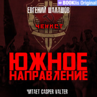 . Чекист. Южное направление